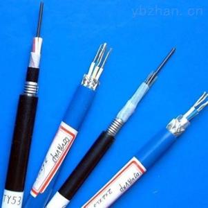 鎧裝屏蔽計算機電纜